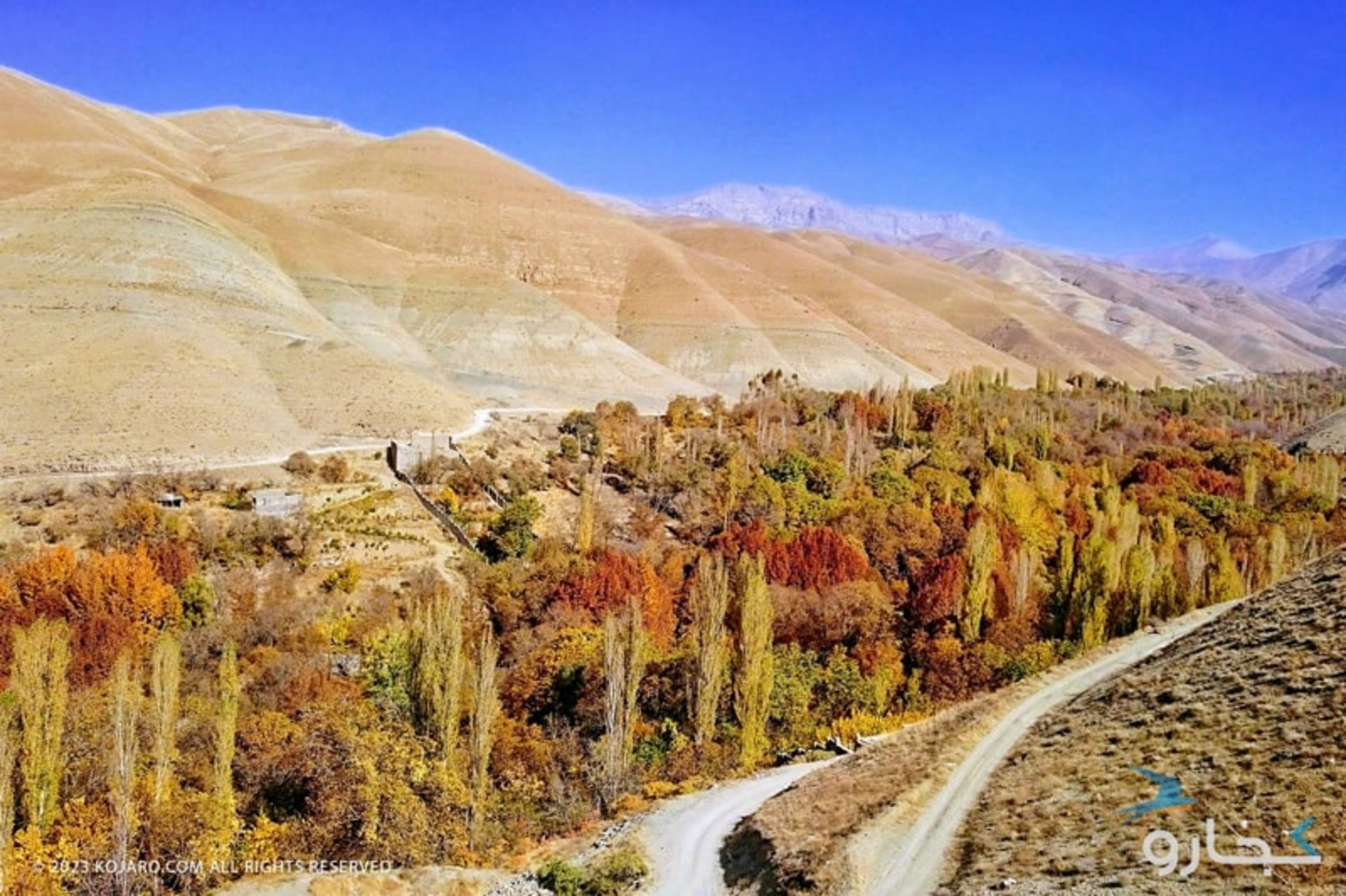 درختان پاییزی در طبیعت ایران