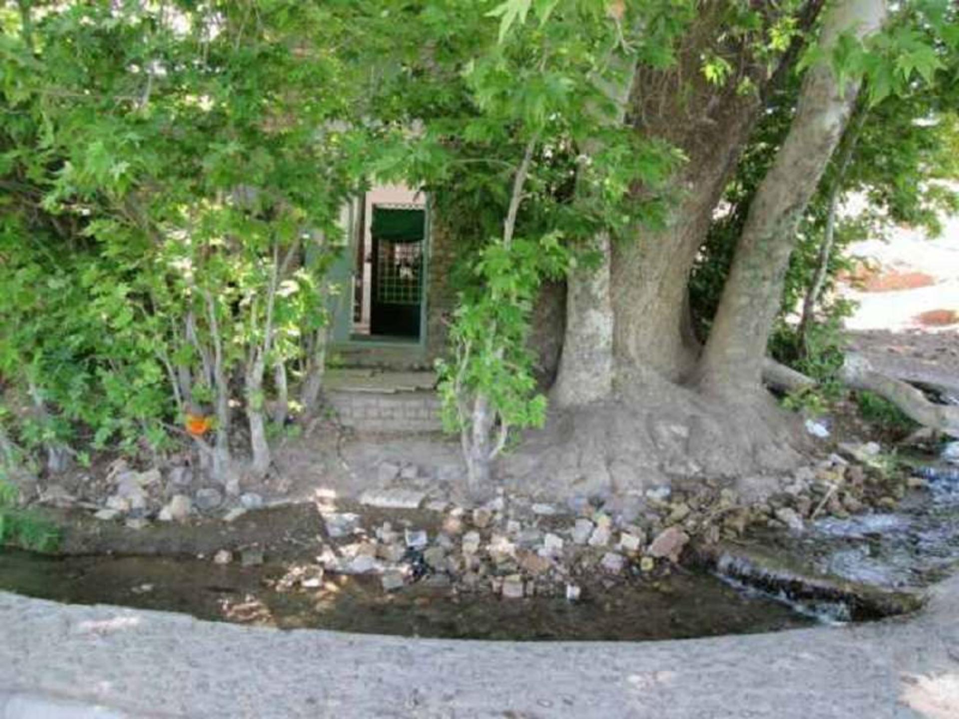 مقبره ارمیای نبی در میان درختان؛ منبع عکس: گوگل مپ؛ عکاس: ارمیا آقایی