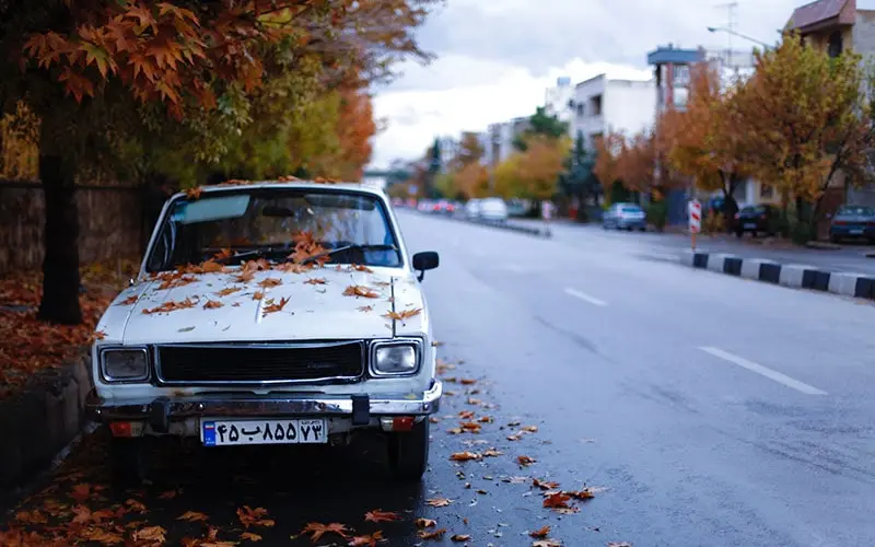 برگ ریزان پاییز در خیابانی در ایران