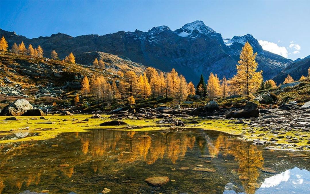 انعکاس درختان پاییزی در دریاچه ای در سوئیس