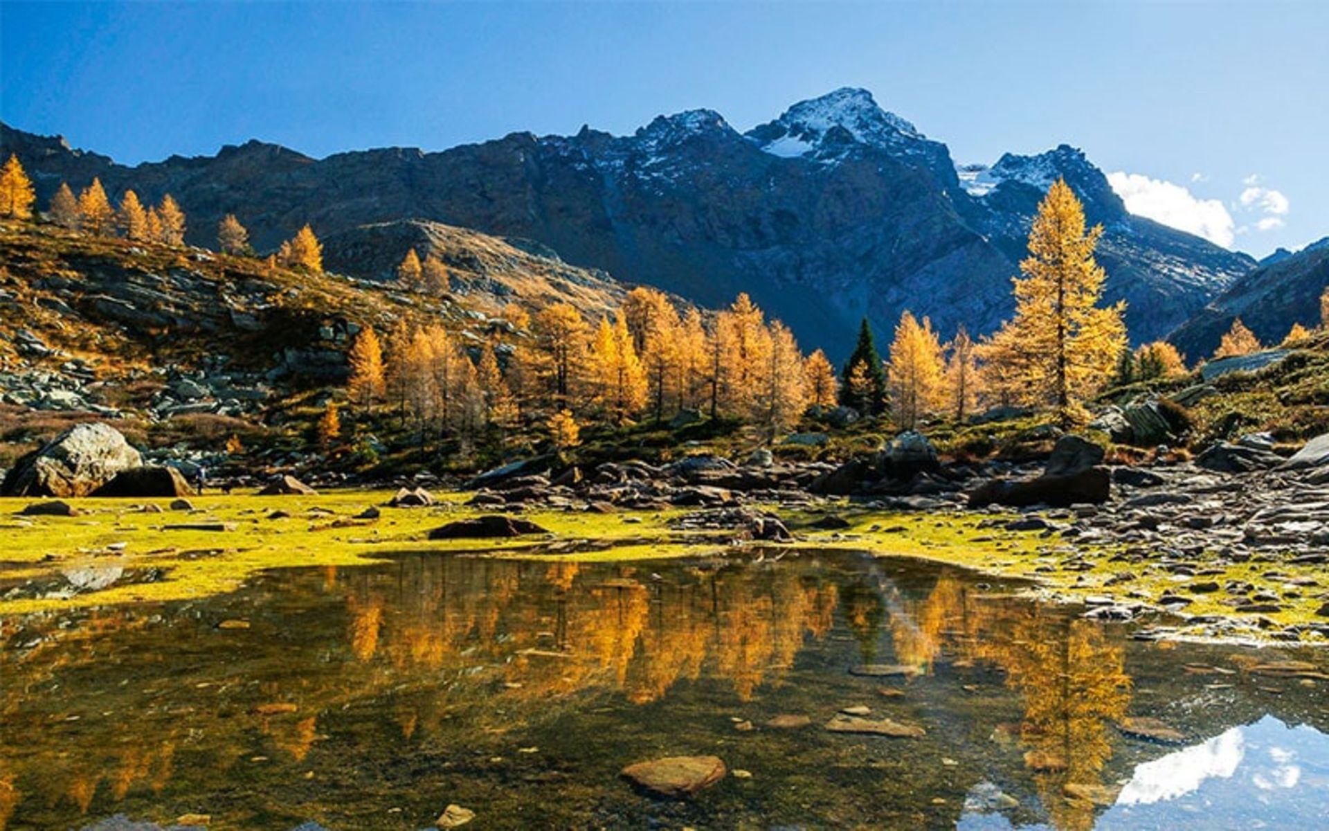 انعکاس درختان پاییزی در دریاچه ای در سوئیس
