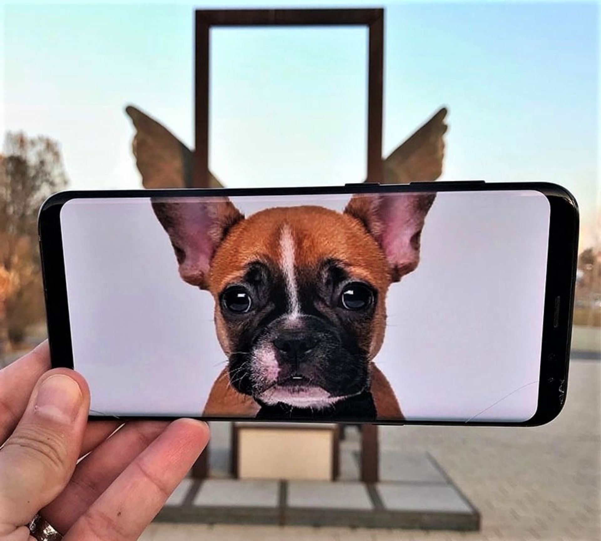 تلفیق عکس سگ با سازه فلزی