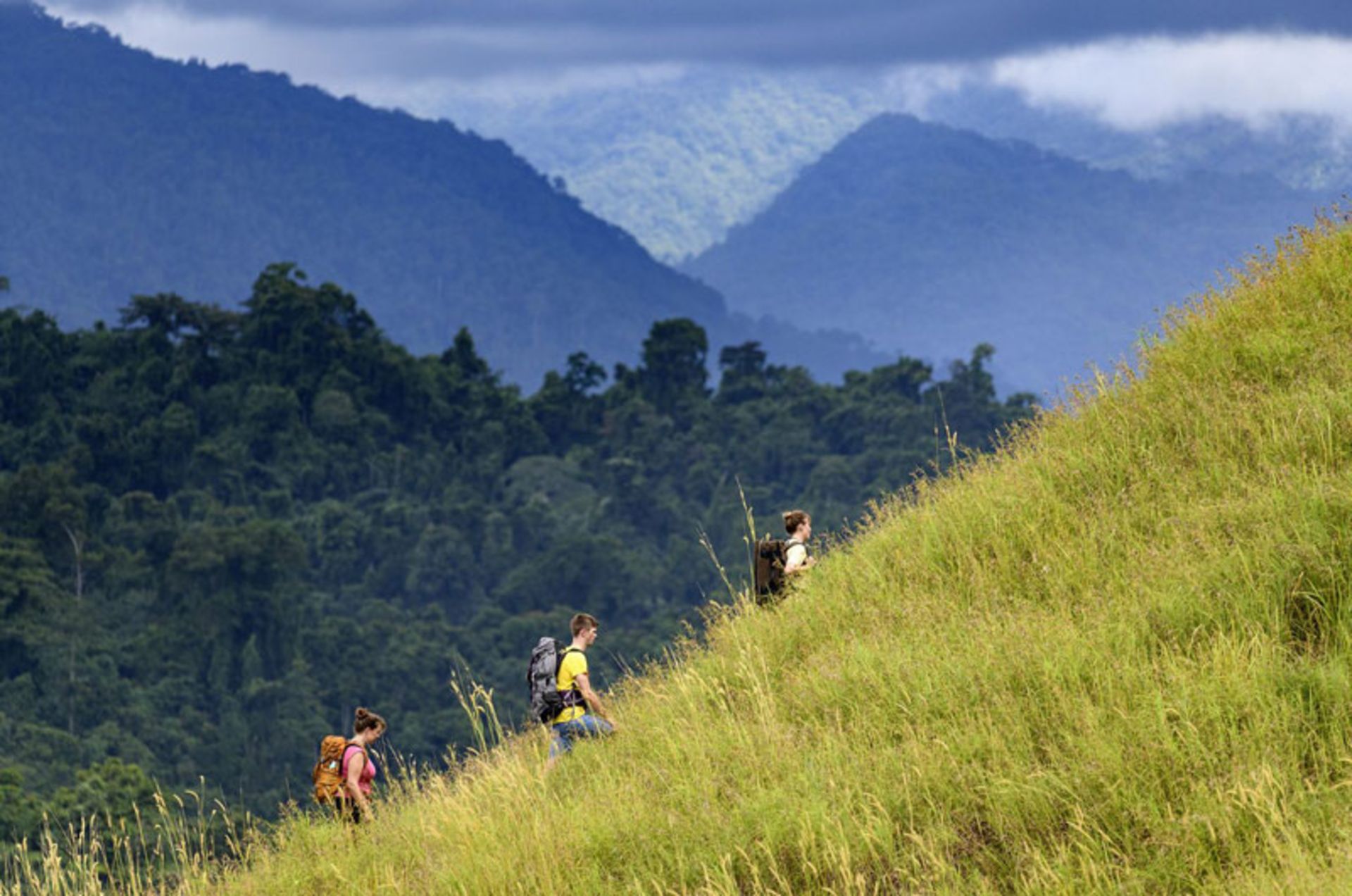 طبیعت جزایر سلیمان؛ منبع عکس: www.cmphoto.co.nz، عکاس: Chris McLennan