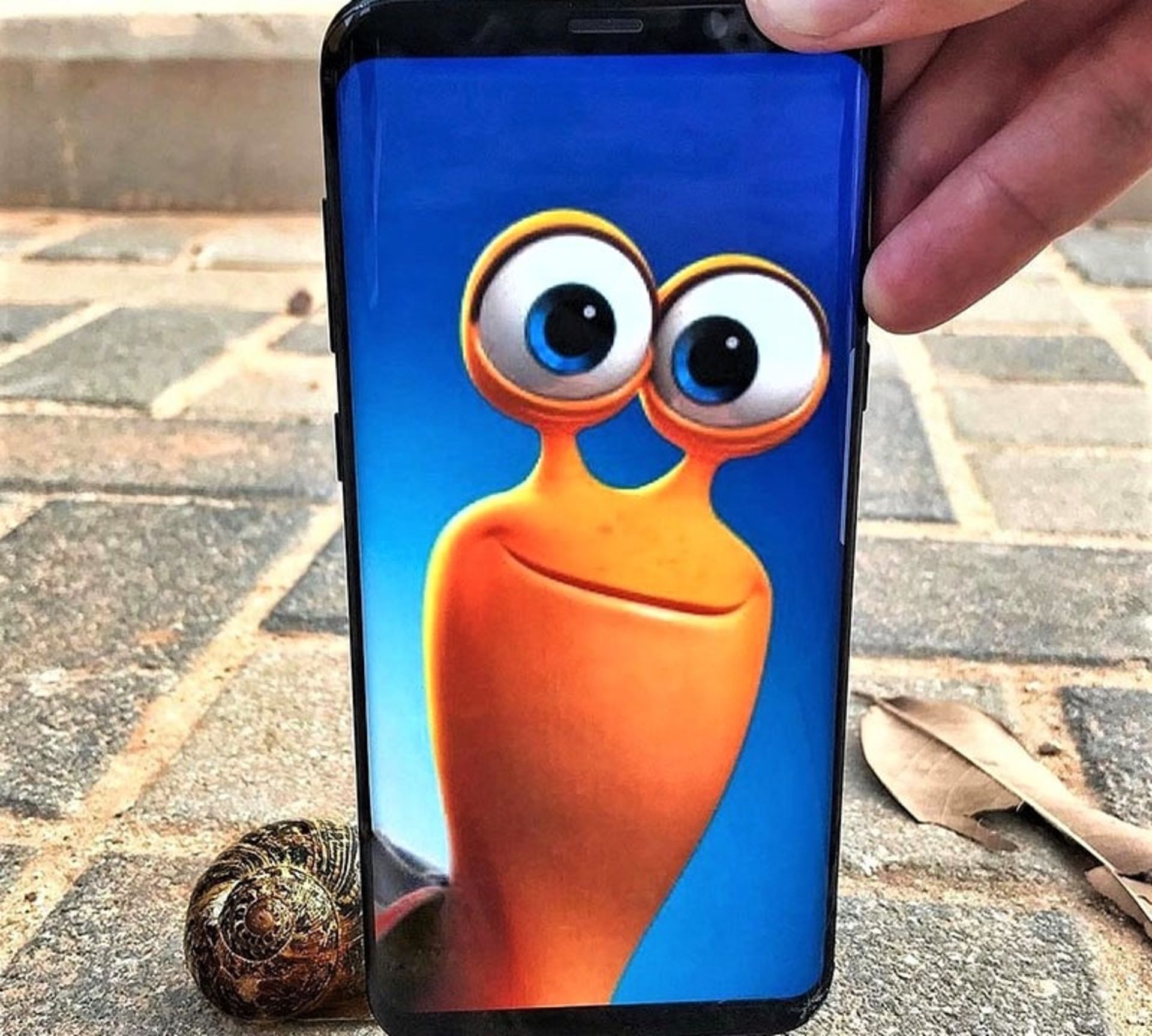 تلفیق عکس کارتونی حلزون با حلزون واقعی