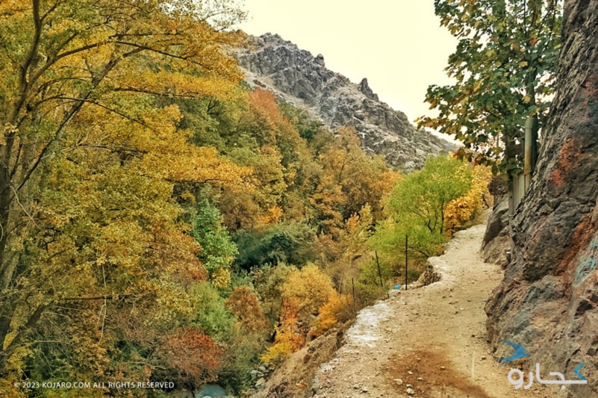 جاده کوهستانی در میان درختان پاییزی در ایران