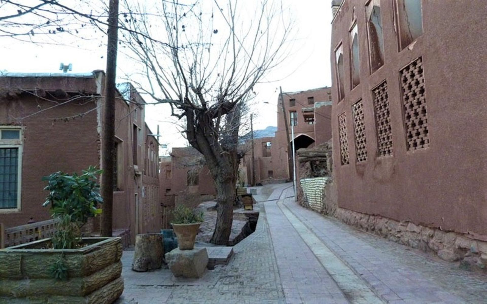 درخت بدون برگ در کوچه های ابیانه، منبع عکس: tripadvisor.com، عکاس: Massimiliano P