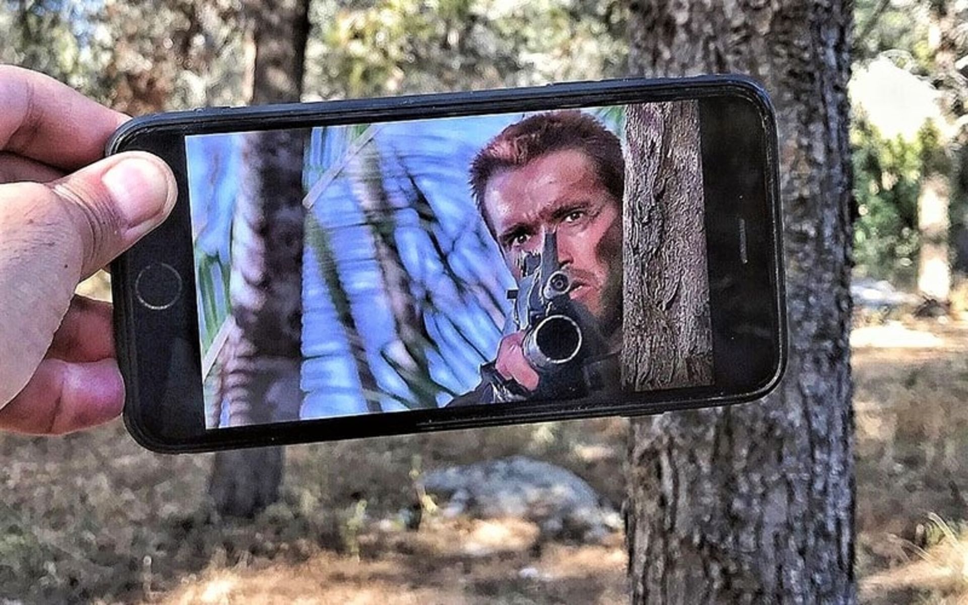 2023-10-bcd27d03-6868-4a41-9a8a-922c3ee5d8fb