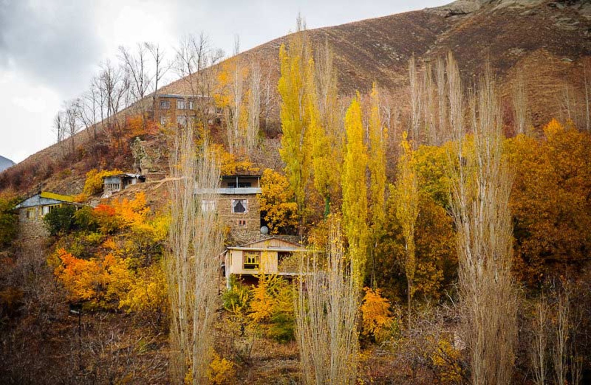 پاییز زیبای واریان؛ منبع عکس: ایسنا؛ عکاس: برنا قاسمی