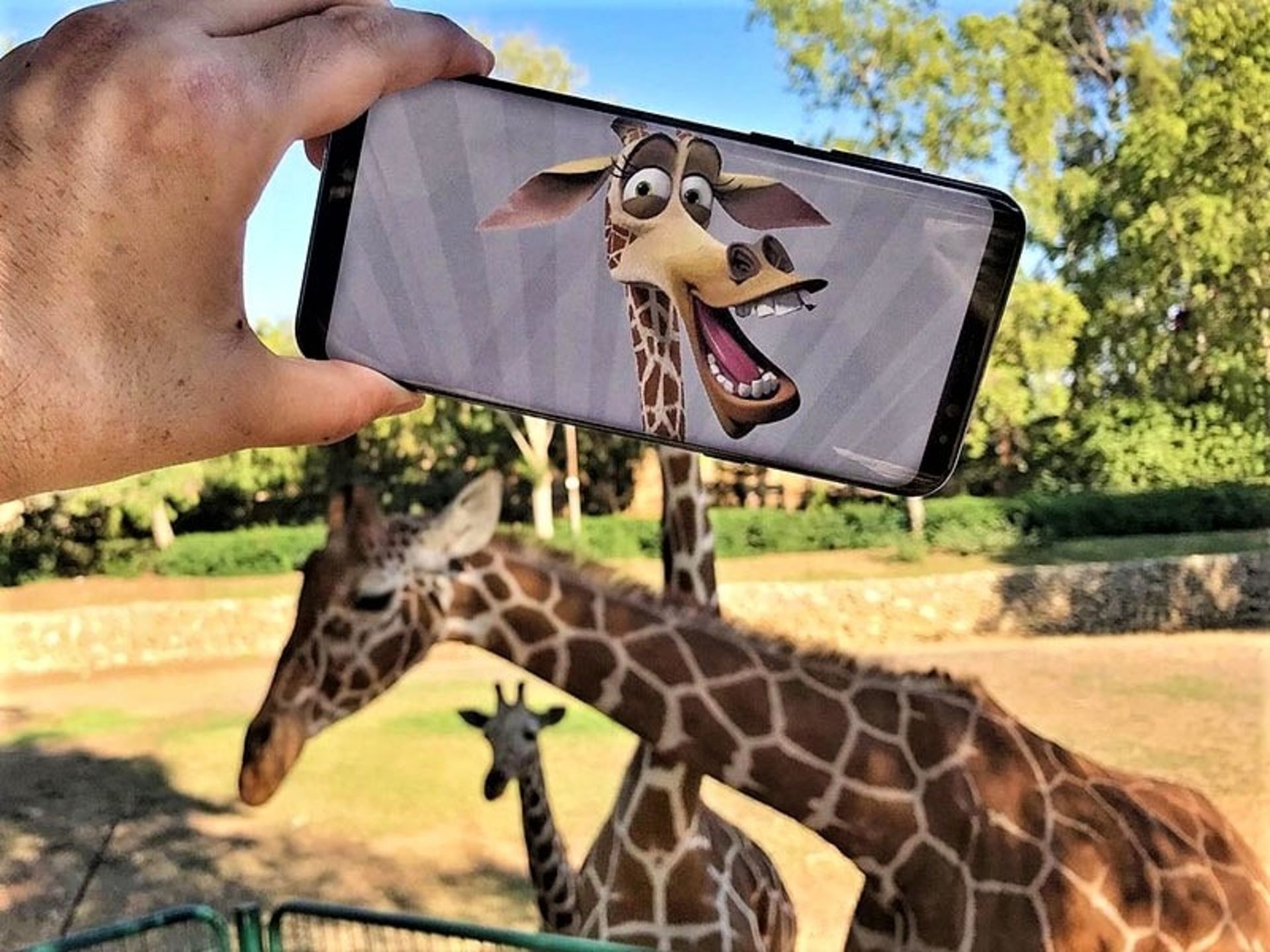 تلفیق عکس زرافه با زرافه واقعی