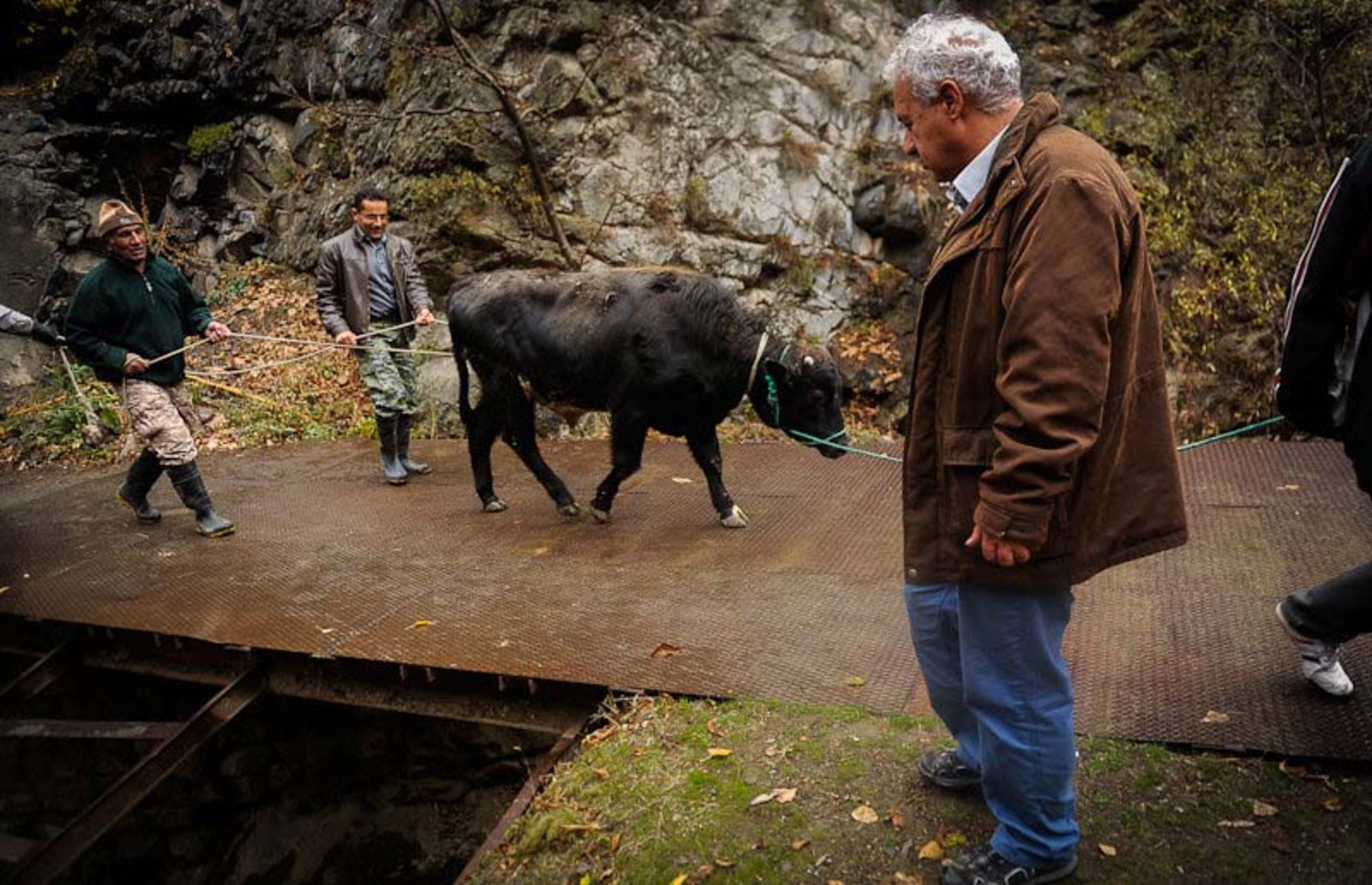 روستاییان و دامداران واریان؛ منبع عکس: ایسنا؛ عکاس: برنا قاسمی