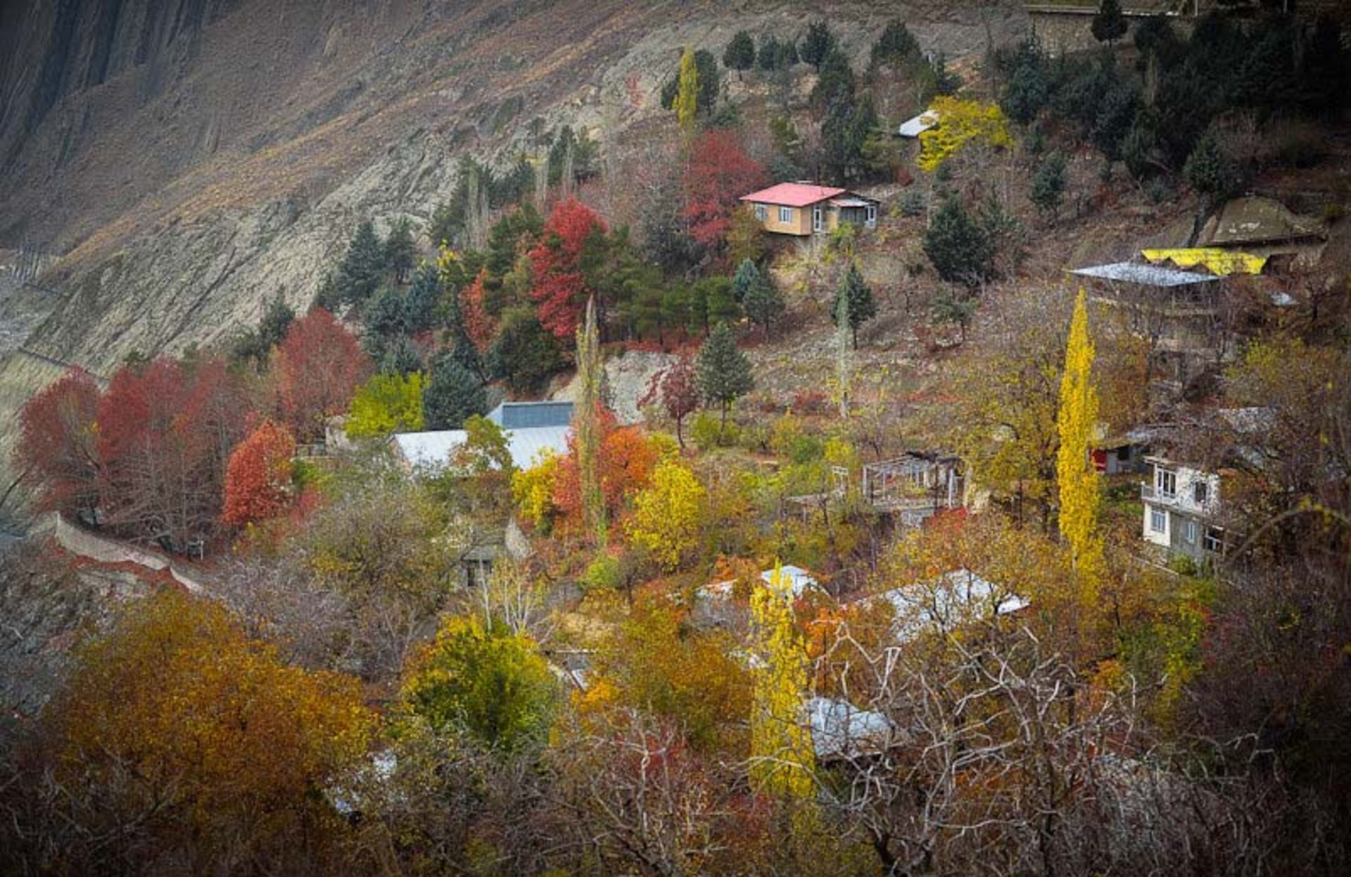 پاییز روستای واریان؛ منبع عکس: ایسنا؛ عکاس: برنا قاسمی
