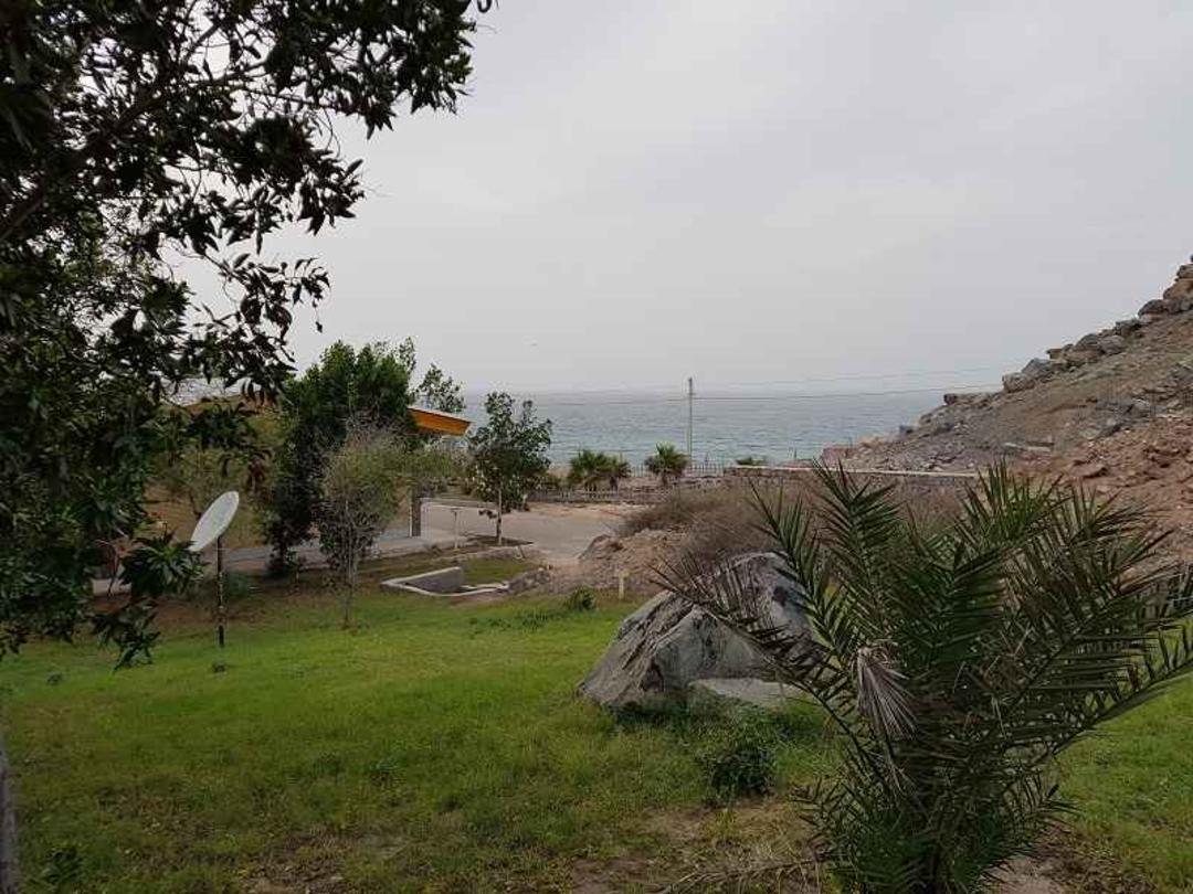 جزیره زیبای سیری؛ منبع عکس: گوگل مپ؛ عکاس: حمیدرضا خاکسار