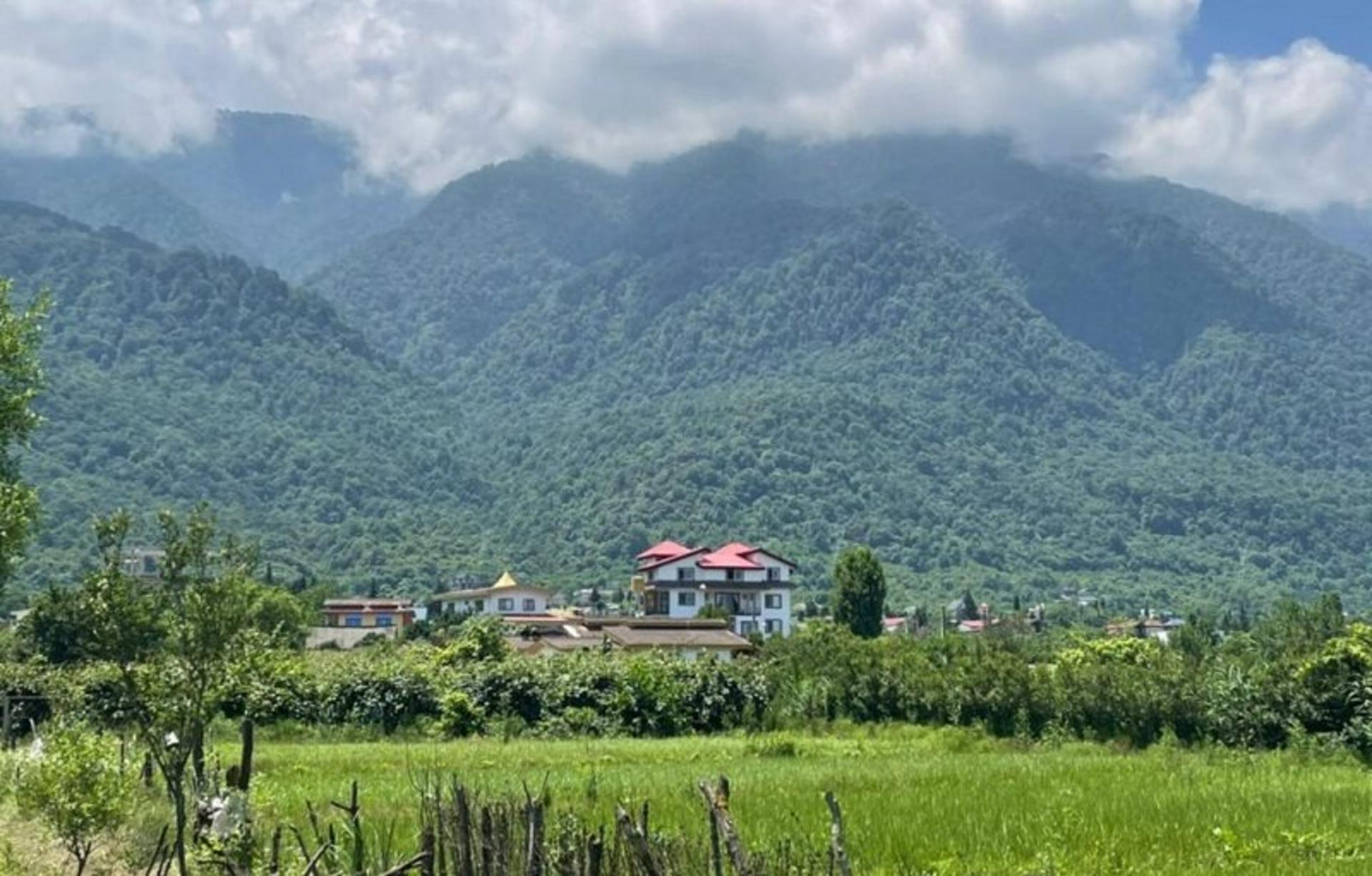 جنگل‌های روستای چلندر؛ منبع عکس: villa.amlak.ir؛ عکاس: نامشخص
