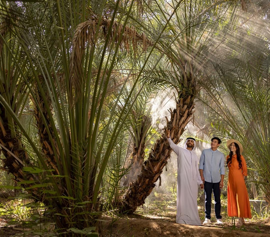 گردش در وحه العین ابوظبی، منبع عکس: اینستاگرام visitabudhabi، عکاس: ناشناس