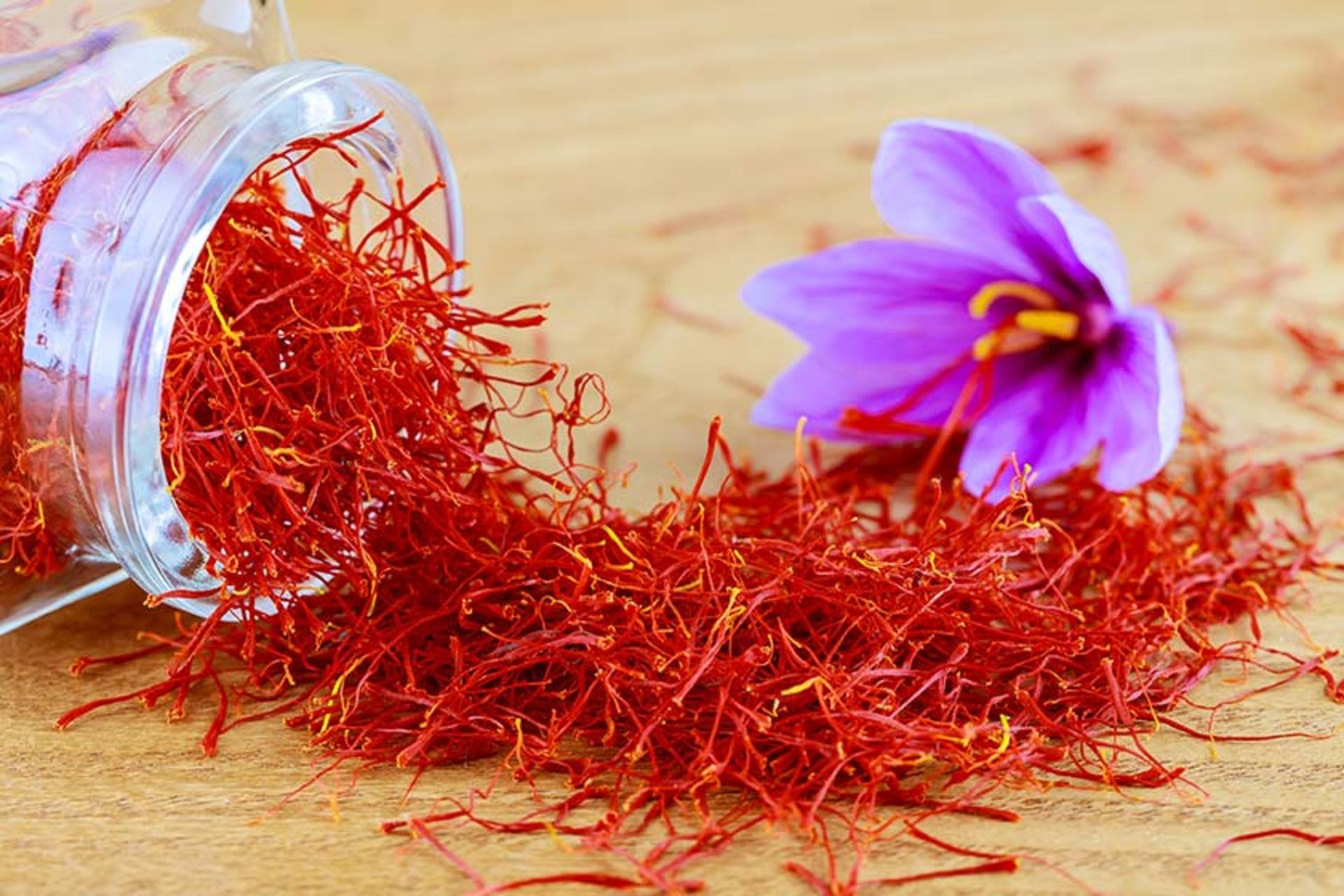 زعفران طلای سرخ رنگ 
