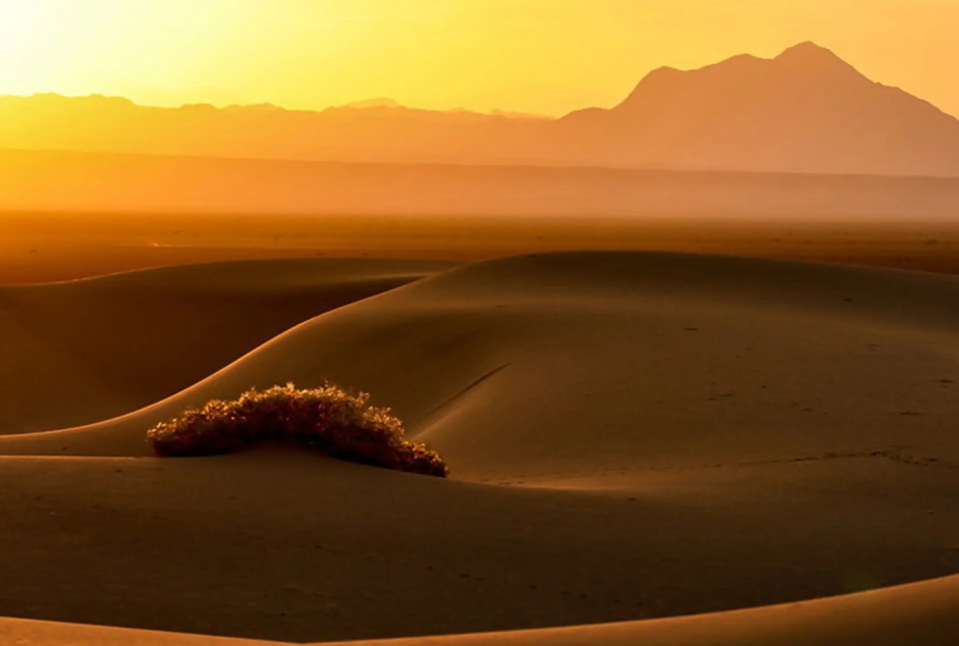 دشت کویر ایران