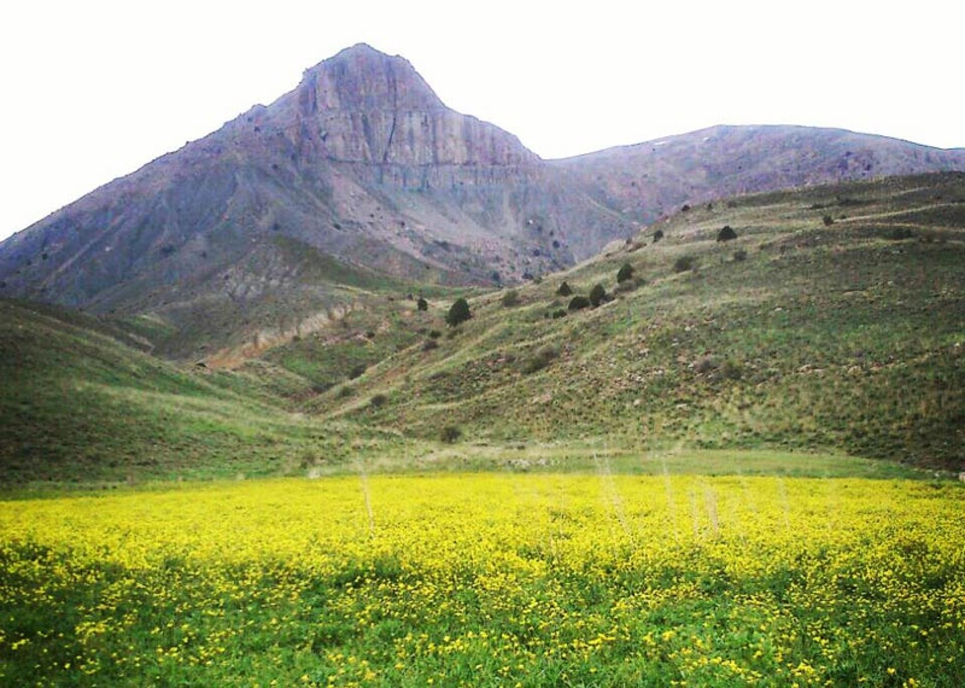 طبیعت زیبای پارک ملی ساریگل همراه با قله کوه؛ منبع عکس: گوگل مپ؛ عکاس: حمزه فکوری