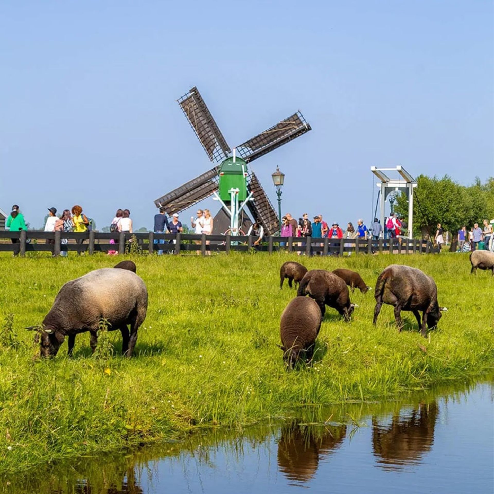 آسیاب بادی در آمستردام