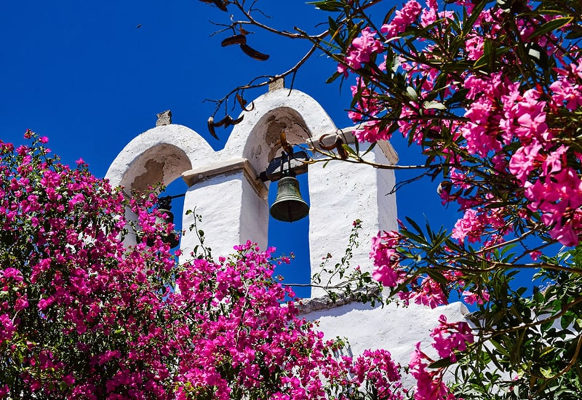 مناظر دیدنی جزیره پاروس،منبع عکس: unsplash.com، عکاس: axp photography