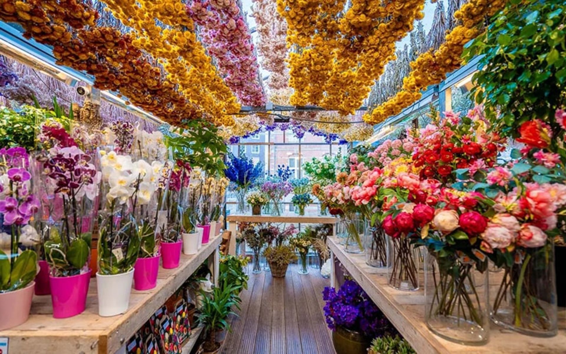 گل فروشی در آمستردام