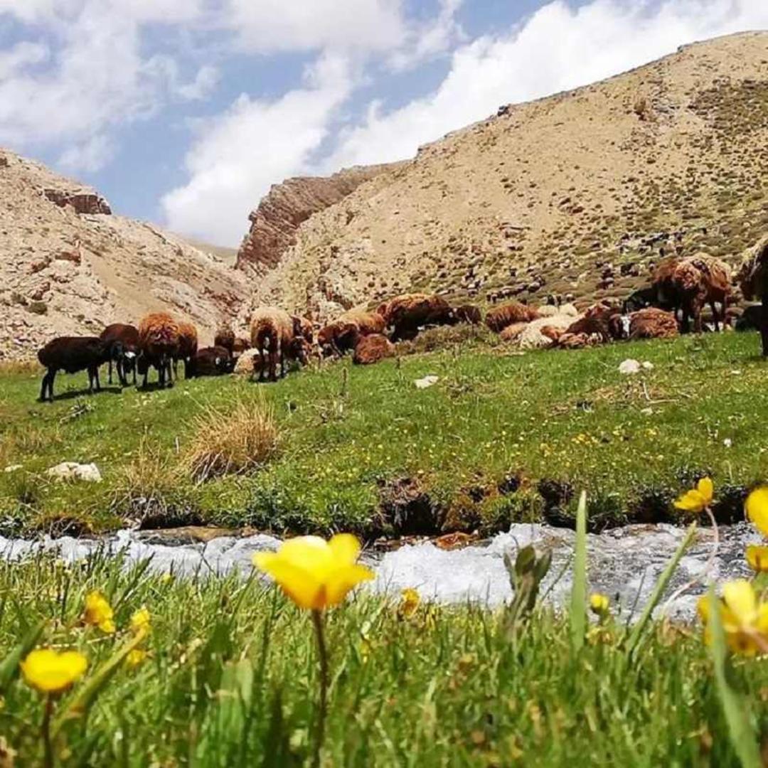 دشت معجز چشمه؛ منبع عکس: ویکی لاک؛ عکاس: سید مرتضی کاظمی