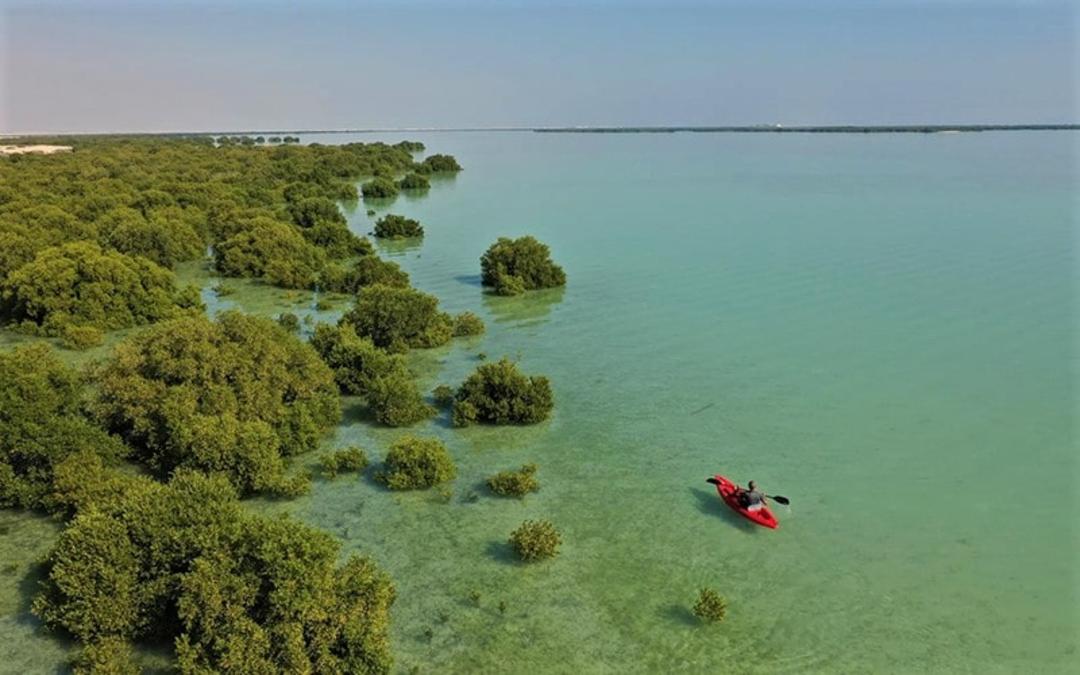 قایق سواری در ساحل الذخیره قطر، منبع عکس: visitqatar.com، عکاس: ناشناس
