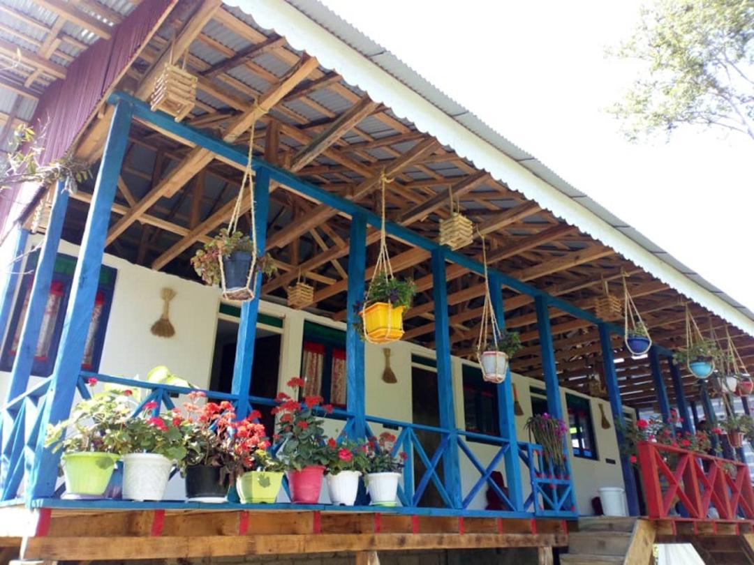 بومگردی توسه