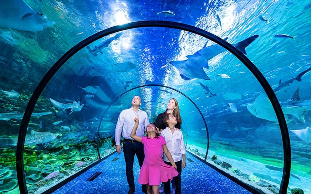 یک خانواده در آکواریوم ابوظبی، منبع عکس:timeoutabudhabi.com، عکاس: ناشناس