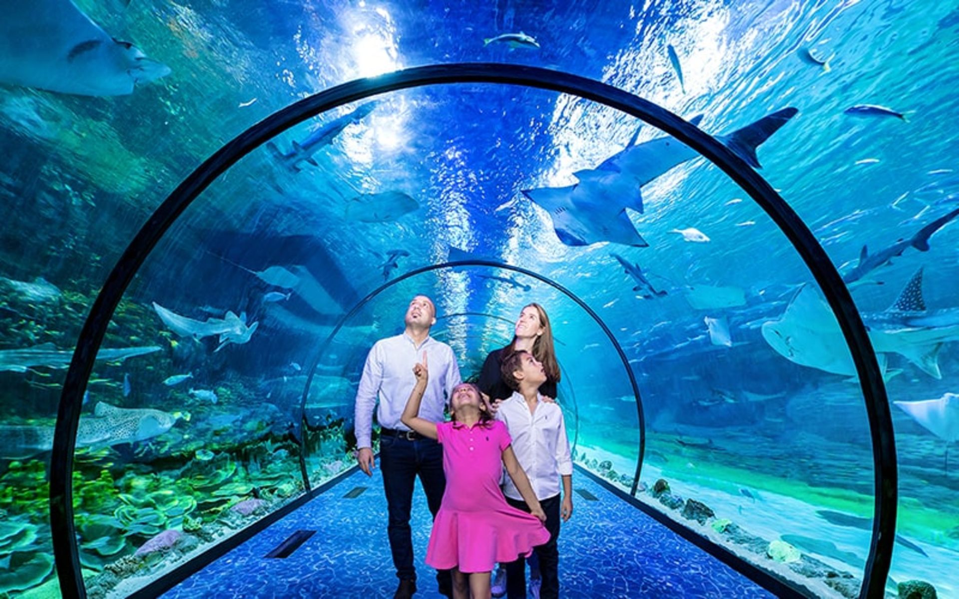 یک خانواده در آکواریوم ابوظبی، منبع عکس:timeoutabudhabi.com، عکاس: ناشناس