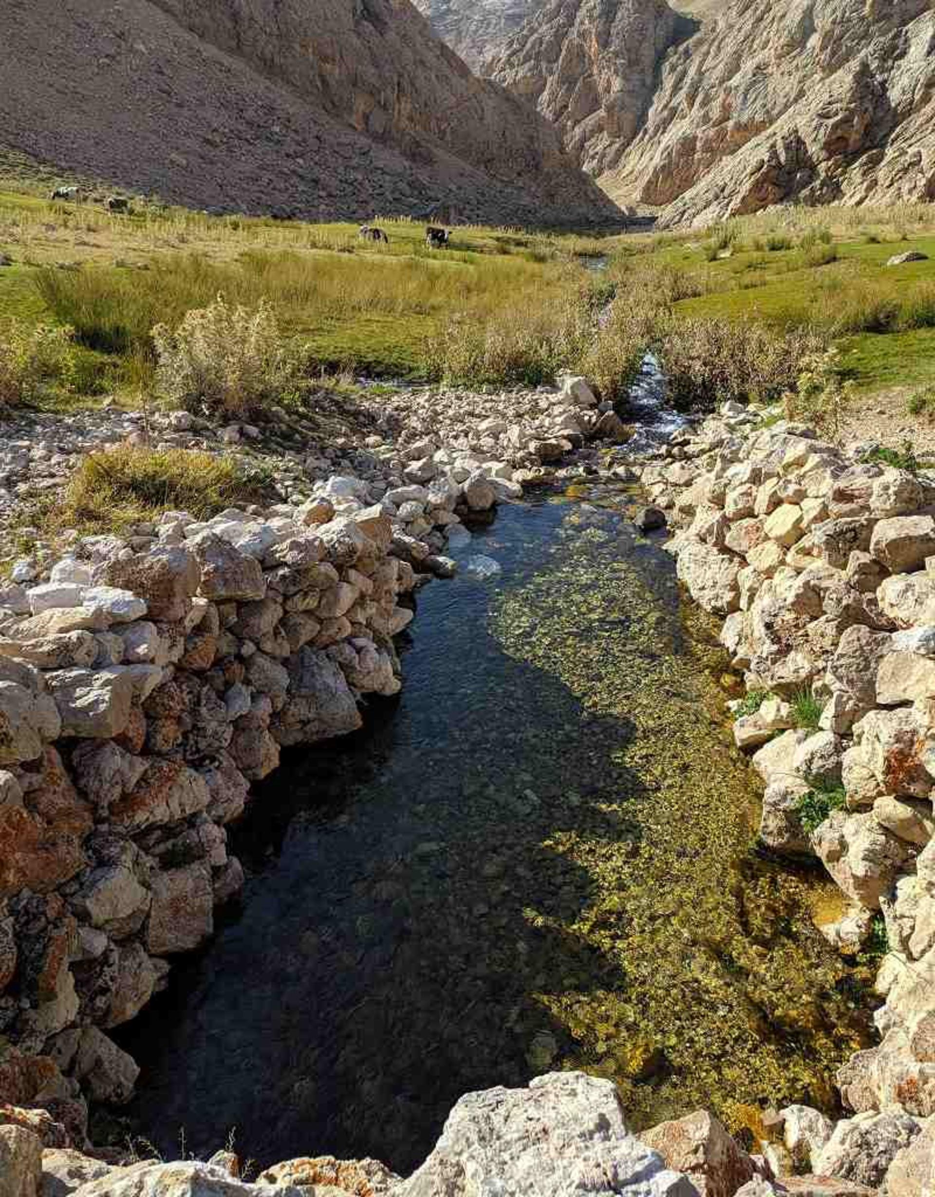 معجز چشمه؛ منبع عکس: گوگل مپ؛ عکاس: عمار ابراهیمی