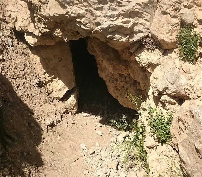 دهانه غار گل زرد، منبع عکس: aminmana.com، عکاس: ناشناس
