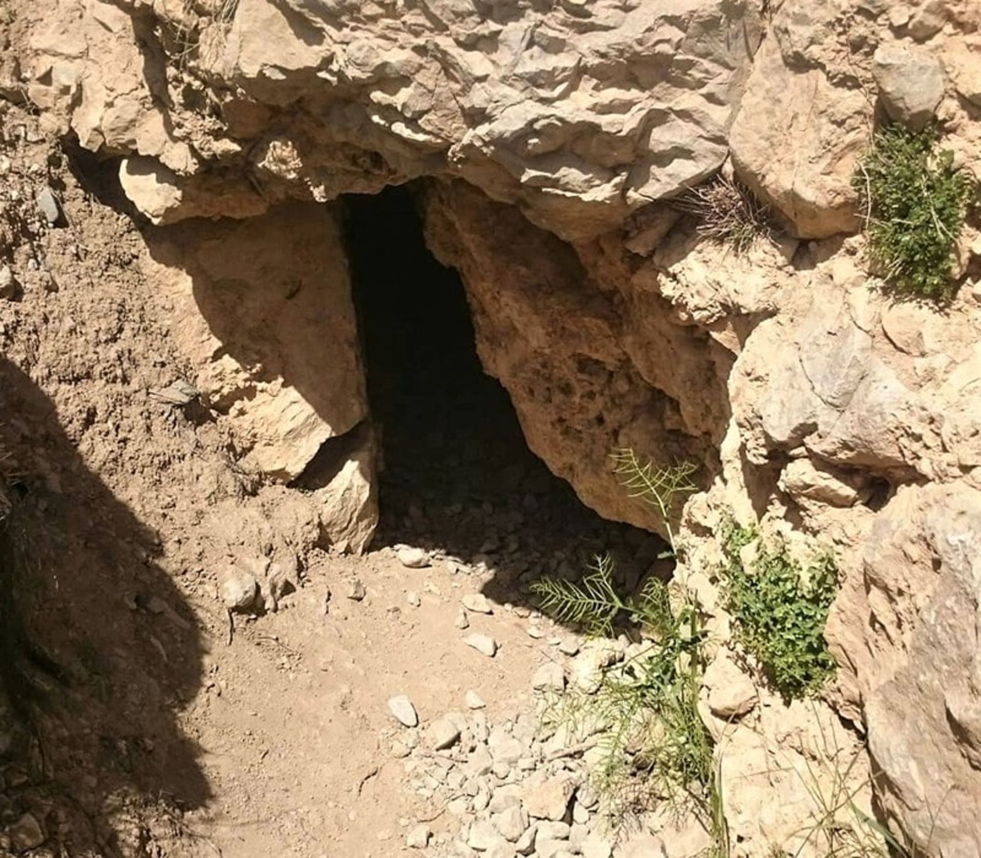 دهانه غار گل زرد، منبع عکس: aminmana.com، عکاس: ناشناس