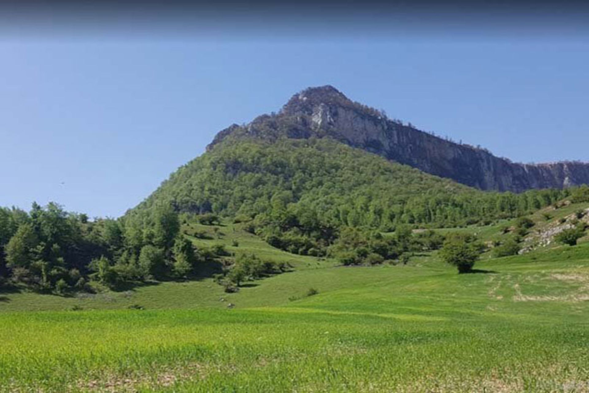 پوشش گیاهی و طبیعت زیبای باغ دره؛ منبع عکس: ساعد نیوز؛ عکاس: نامشخص
