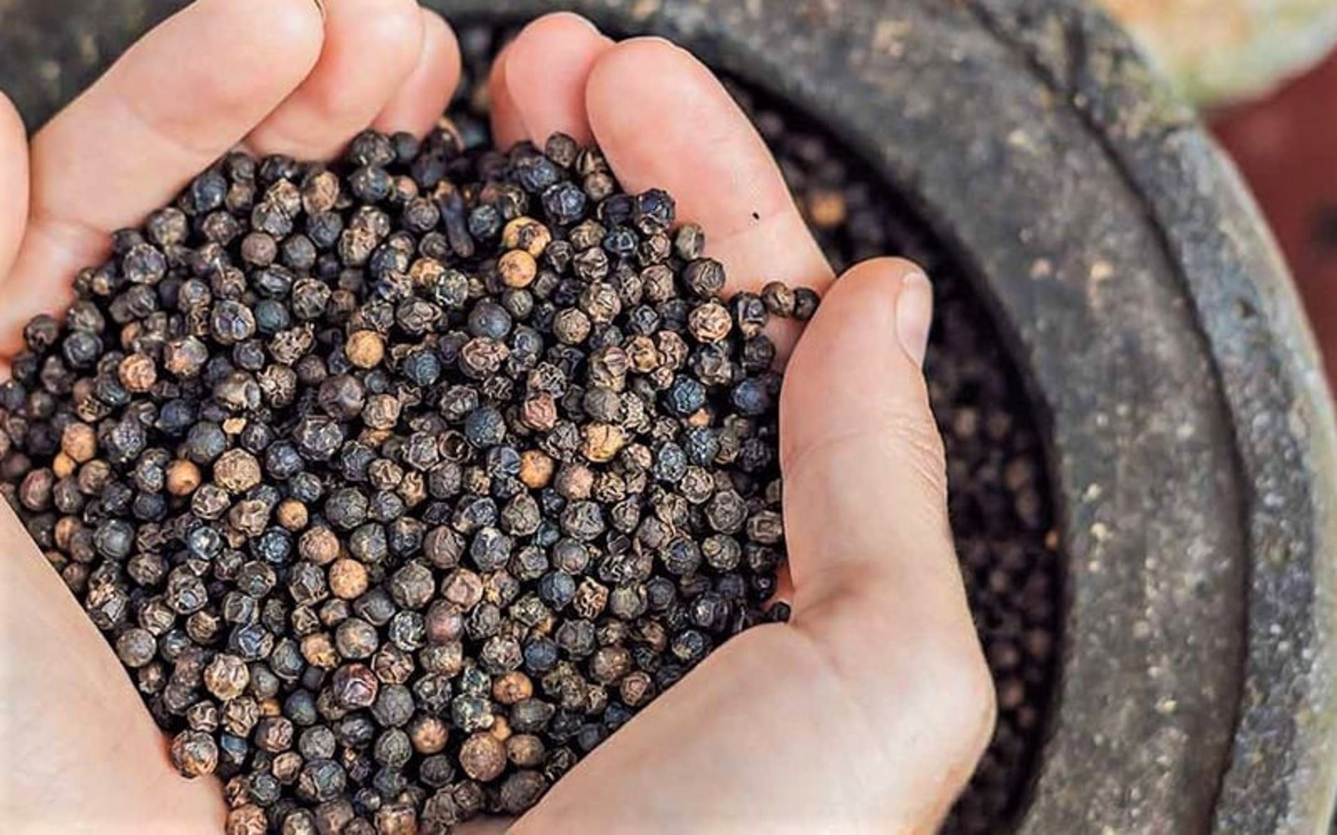 دانه‌های فلفل سیاه 