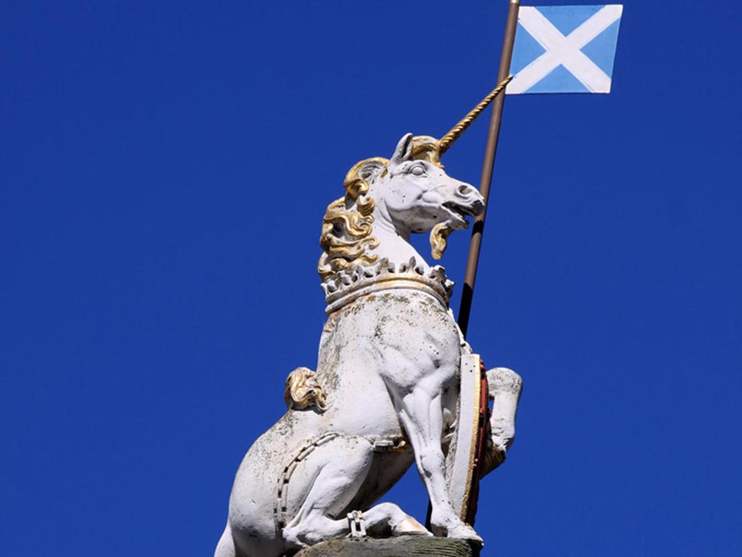 اسب تک‌شاخ اسکاتلند؛ منبع عکس: Discover Britain، عکاس: نامشخص