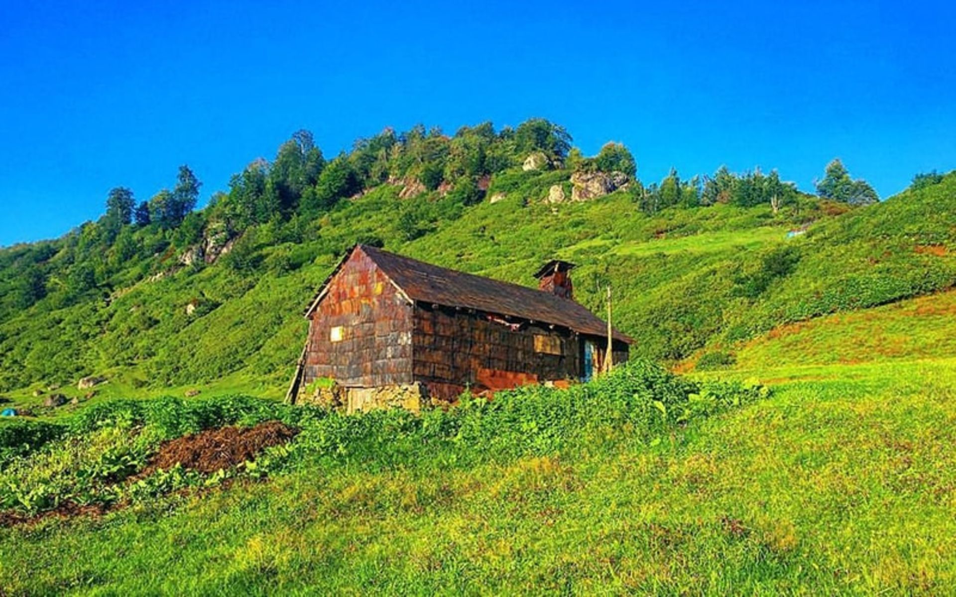 کلبه‌ای چوبی در روستای کوسکوی ترکیه