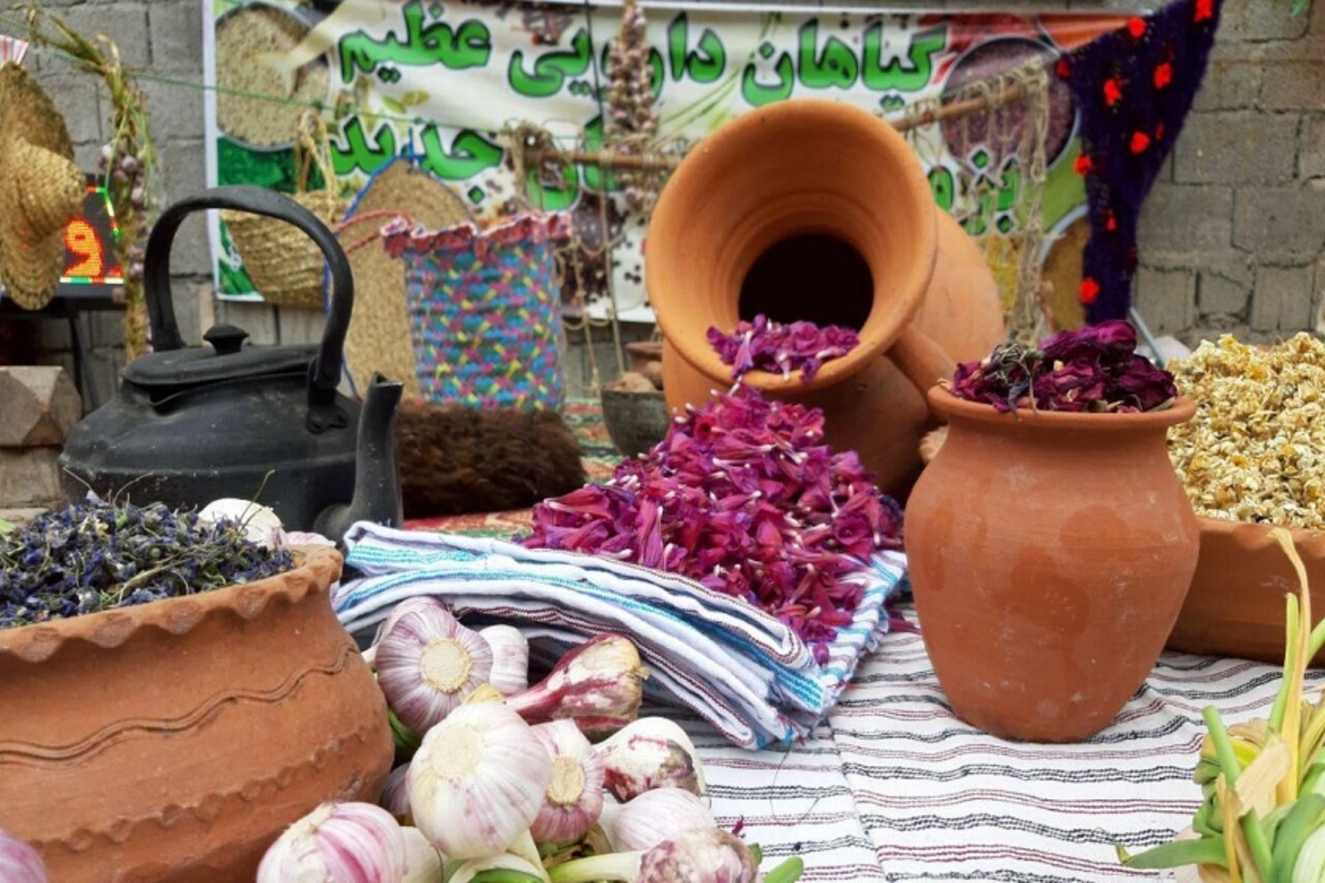  جشنواره مازندران 