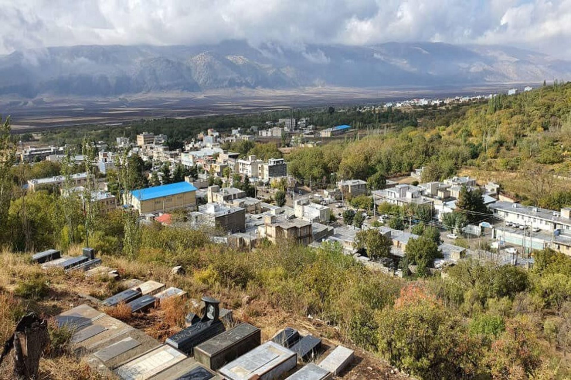 دالاهو
