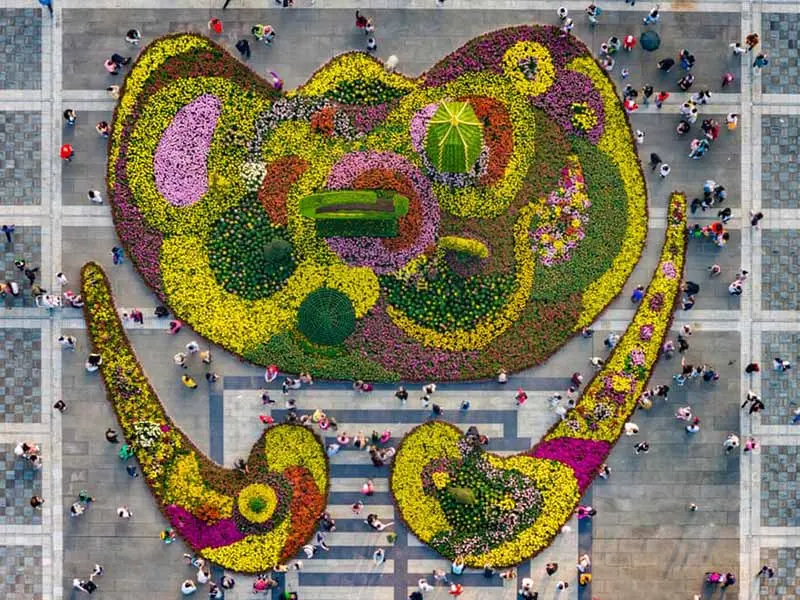 جشنواره گل در پارکی در چین از نمای بالا