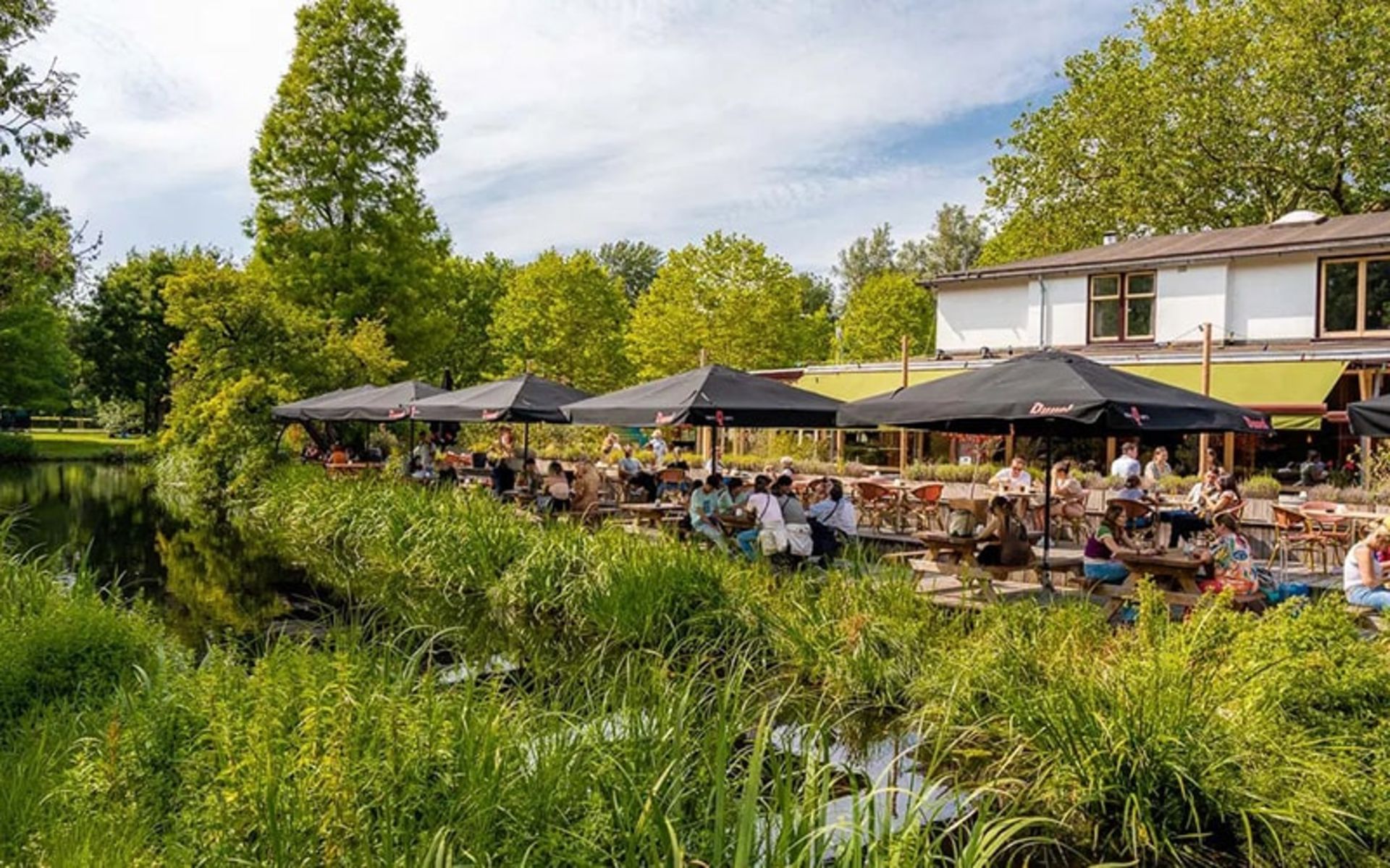 غذاخوری کوچکی در آمستردام