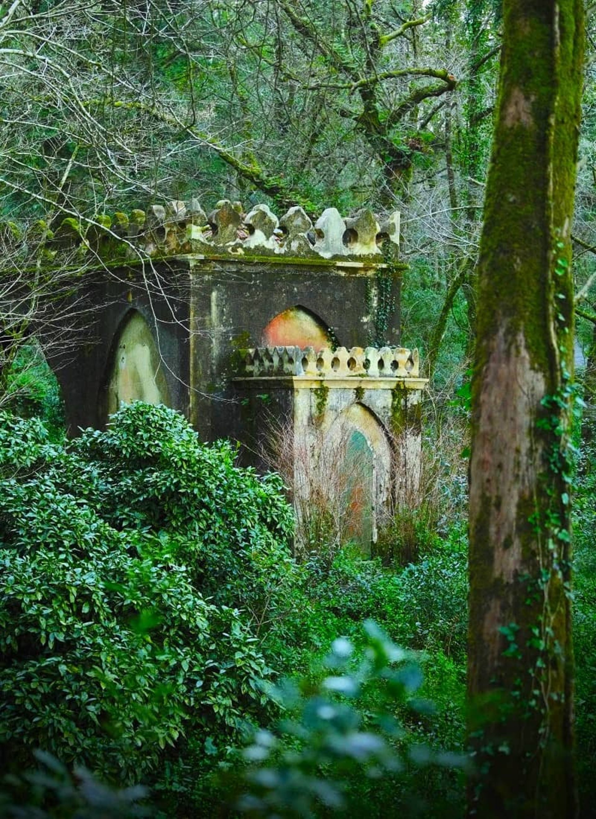 پارک کاخ ملی پنا، منبع:  Queen’s Fern Valley