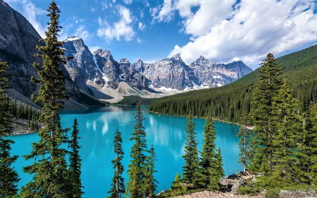 دریاچه‌ای با آب فیروزه‌ای در احاطه درختان جنگل