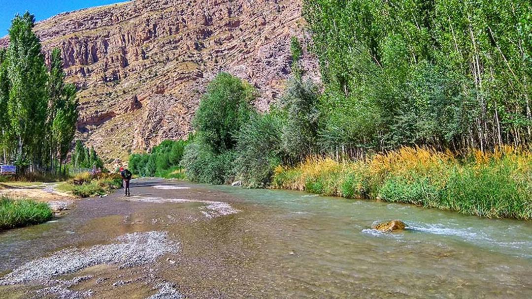 روستای زیبای دربادام؛ منبع عکس: گوگل مپ؛ عکاس: ReZa HJ