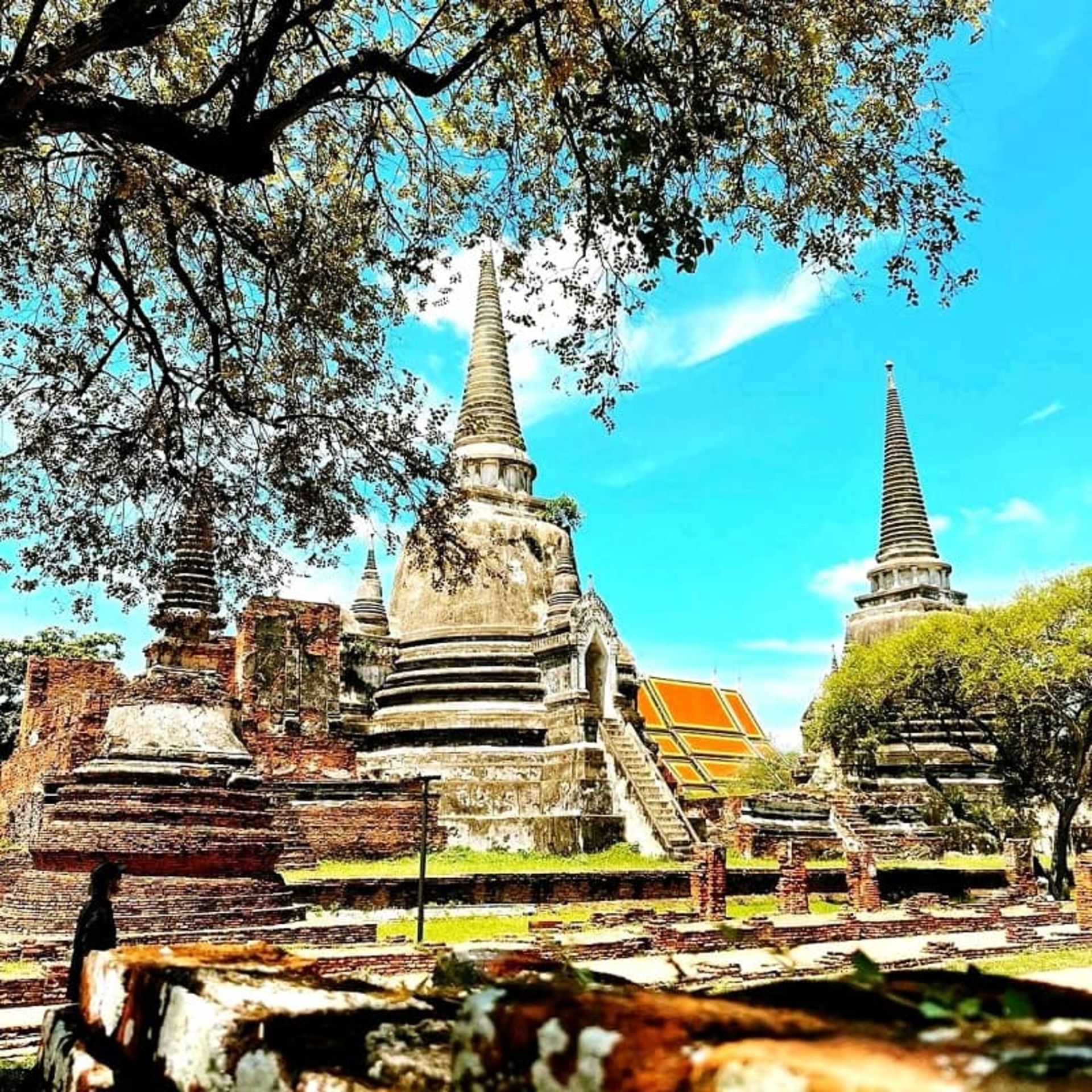  پارک تاریخی آیوتایا، منبع: trip.com