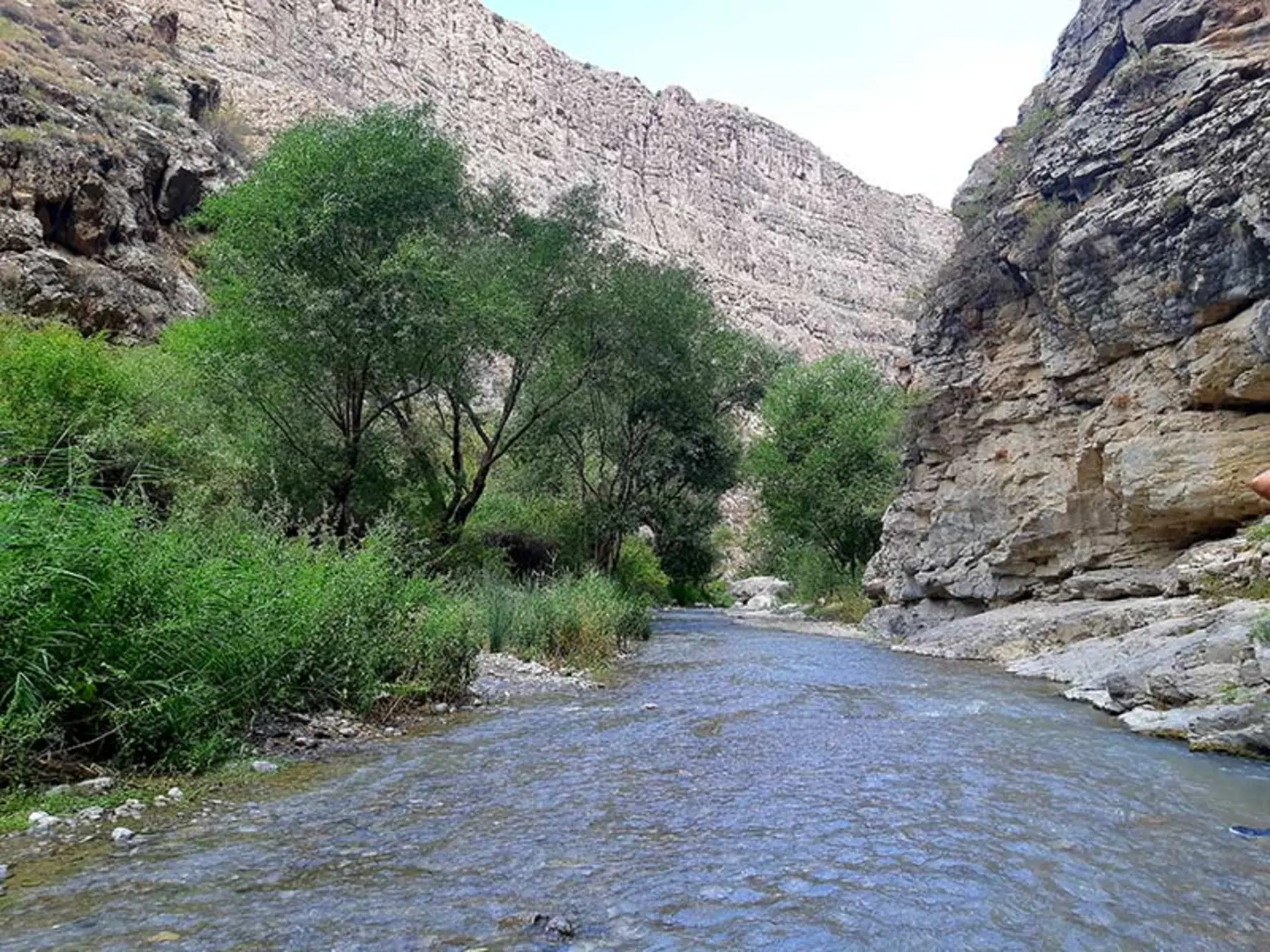 رودخانه و طبیعت دره شمخال؛ منبع عکس: گوگل مپ؛ عکاس: مریم معصومی
