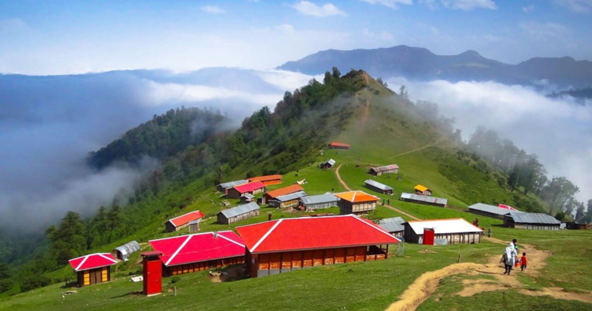 اجاره کلبه میان جنگل های هیرکانی