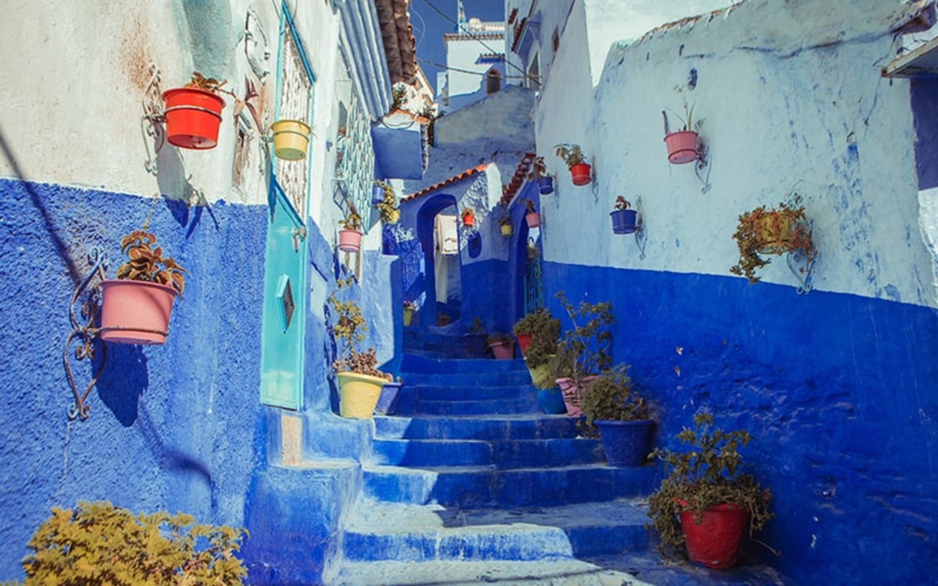 پلکانی مملو از گلدان در شفشاون مراکش، منبع عکس: unsplash.com، عکاس: Milad Alizadeh 