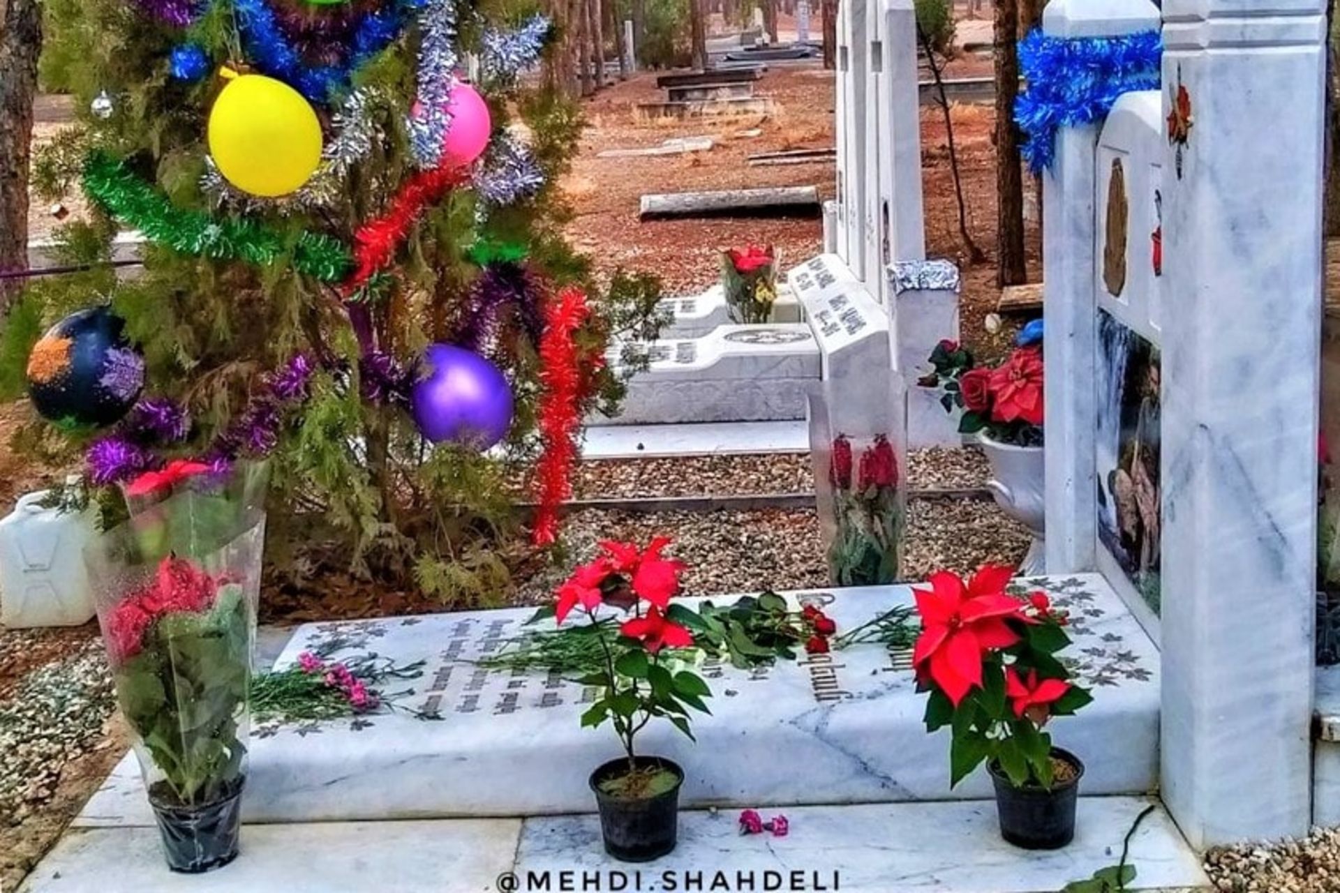 تزیینات کریسمس در قبرستان ارامنه اصفهان، منبع عکس: اینستاگرام mehdi.shahdeli@، عکاس: مهدی شاه‌دلی