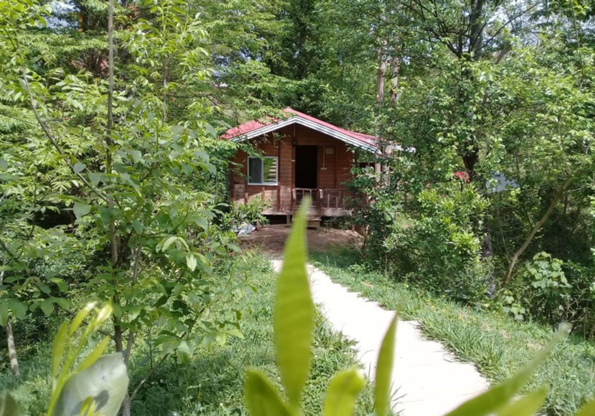 اجاره کلبه میان جنگل های هیرکانی