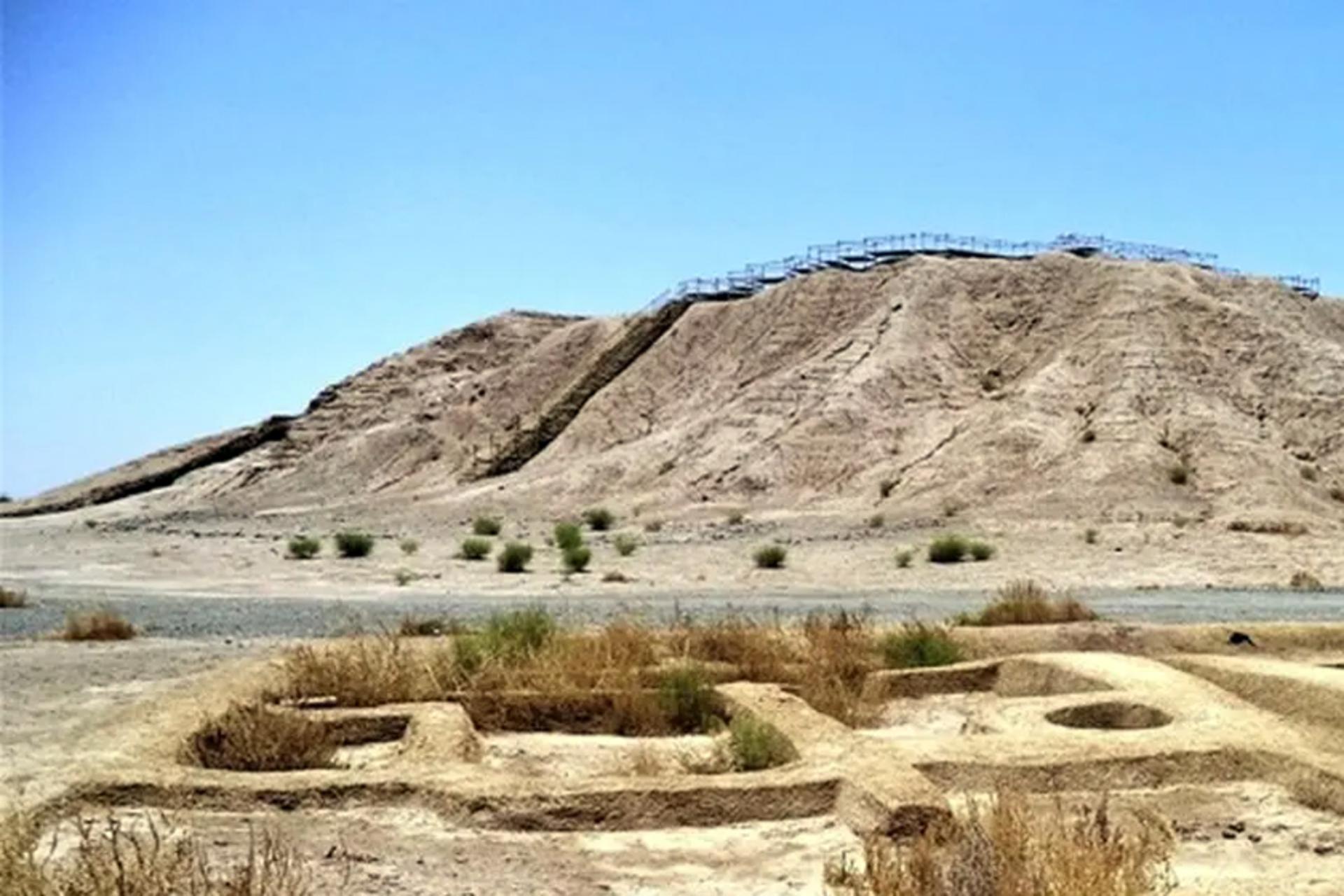 کنار صندل